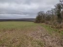 Marcher le long du champ